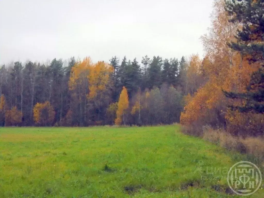 Участок в Ленинградская область, Выборгский район, Красносельское ... - Фото 2