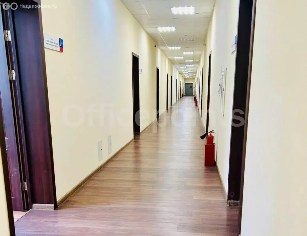 Офис (849.4 м) - Фото 2