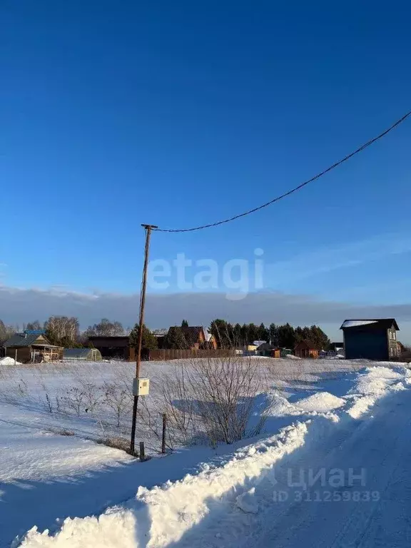 Участок в Новосибирская область, Колыванский район, Север ТСН 248 (8.0 ... - Фото 1