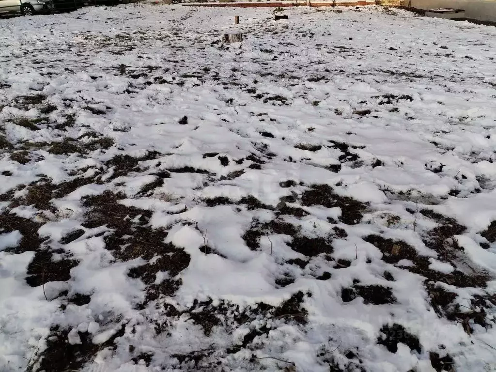 Участок в Мордовия, Лямбирский район, Саловское с/пос, д. Новое ... - Фото 1