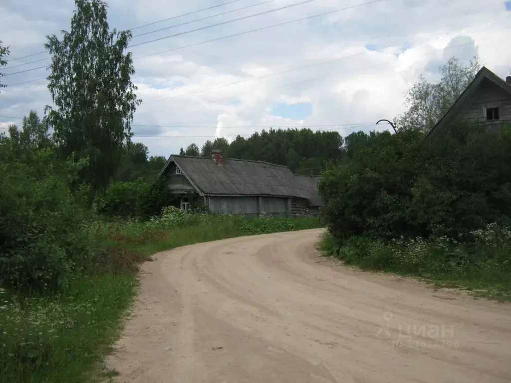 Участок в Новгородская область, Солецкий муниципальный округ, д. ... - Фото 1