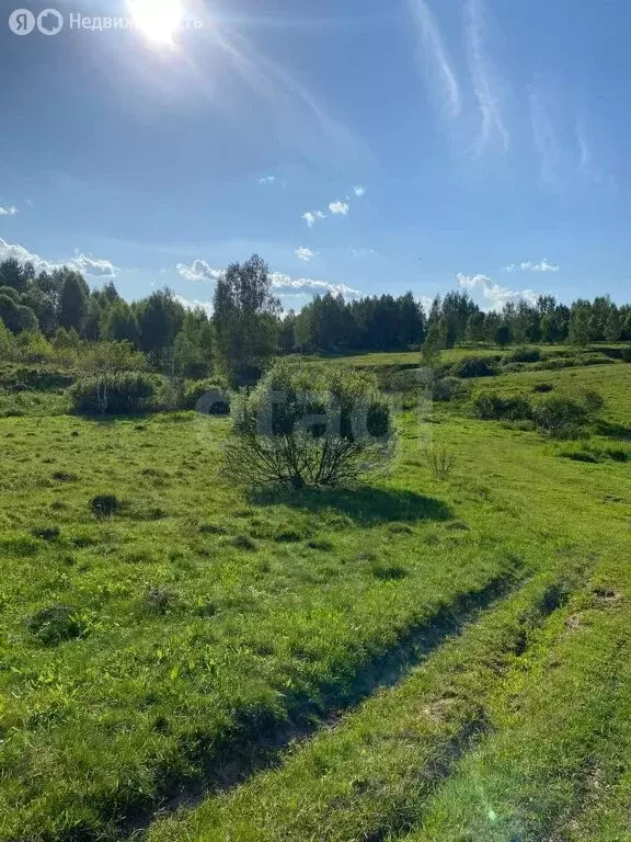 Участок в Хотисино, деревня Хотисино (1196.45 м) - Фото 0