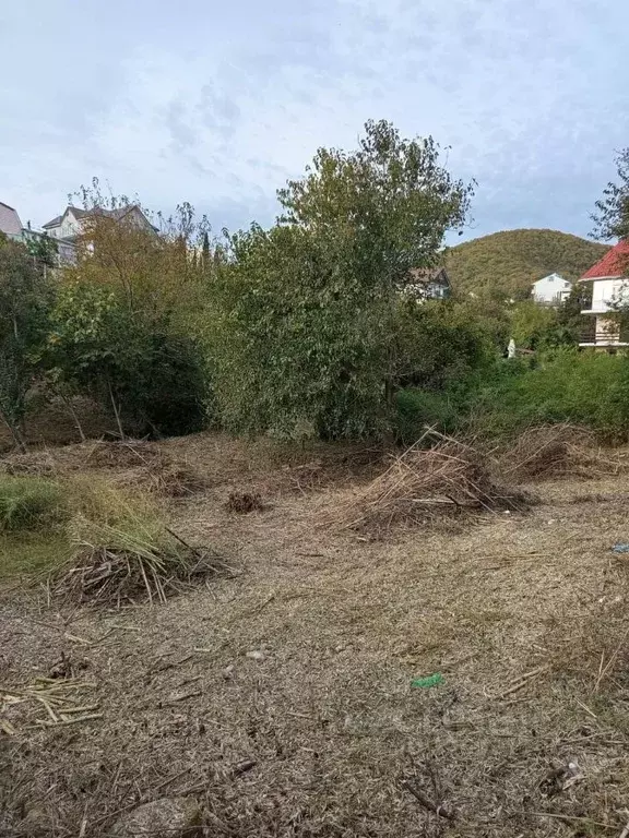 Участок в Краснодарский край, Сочи Совет-Квадже мкр, пер. Сибирский ... - Фото 1