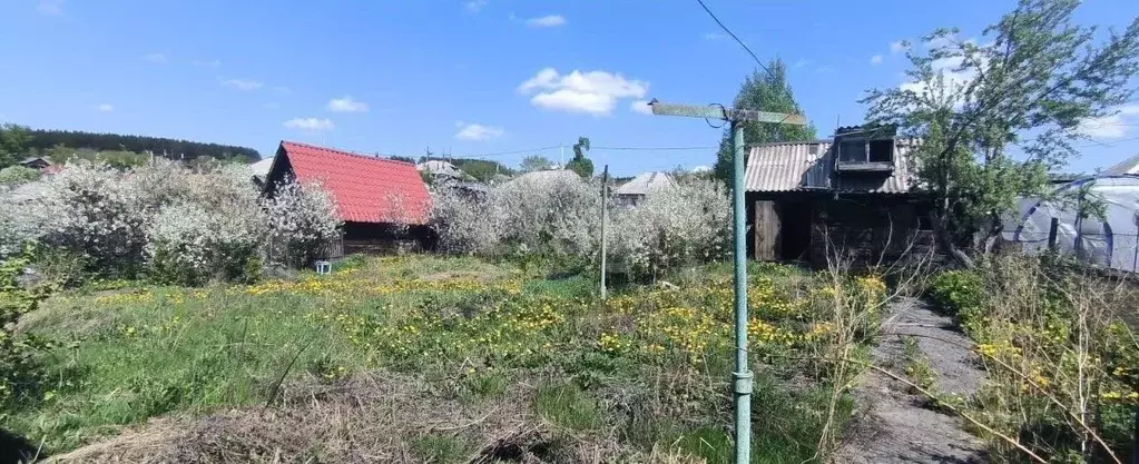 Дом в Кемеровская область, Новокузнецк Ельцовская ул., 8 (48 м) - Фото 1