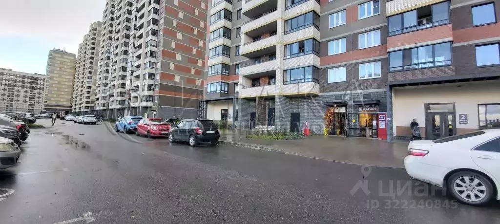 Торговая площадь в Ленинградская область, Мурино Всеволожский район, ... - Фото 1