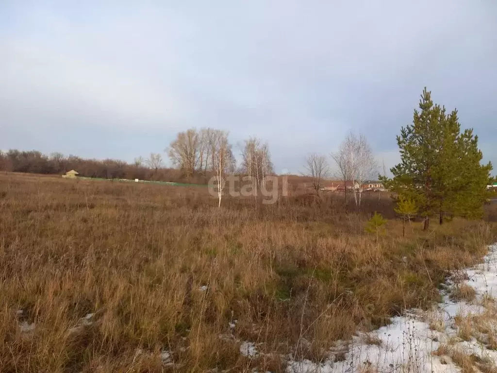 Участок в Башкортостан, Стерлитамакский район, Казадаевский сельсовет, ... - Фото 1