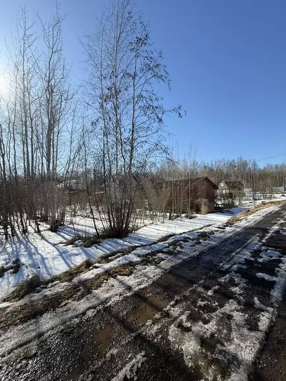 Участок 8 сот. (СНТ, ДНП) - Фото 1