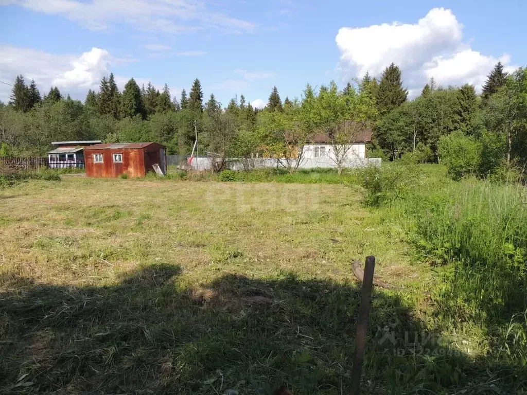 Участок в Вологодская область, Авиатор садоводческое товарищество  ... - Фото 2