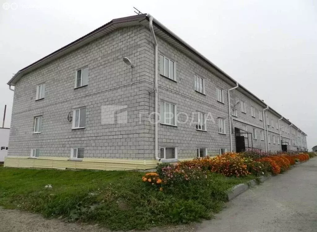 Квартира-студия: Новосибирская область, рабочий посёлок Колывань, ... - Фото 1