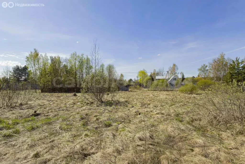 Участок в Московская область, Рузский муниципальный округ, деревня ... - Фото 2