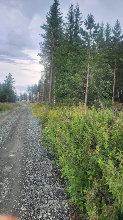 Участок в Свердловская область, Ревда Земляничная ул. (10.2 сот.) - Фото 0