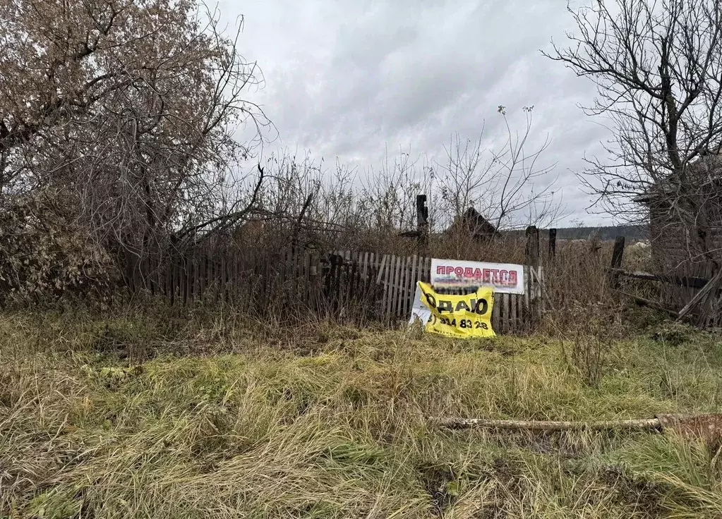 Участок в Свердловская область, Нижнесергинский район, Дружининское ... - Фото 2