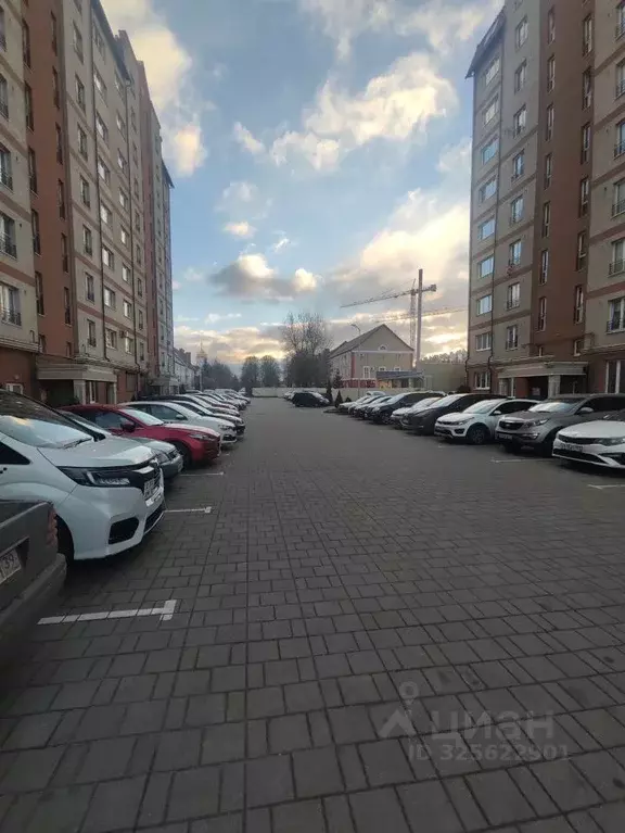 1-к кв. Калининградская область, Калининград ул. Каштановая Аллея, 165 ... - Фото 2