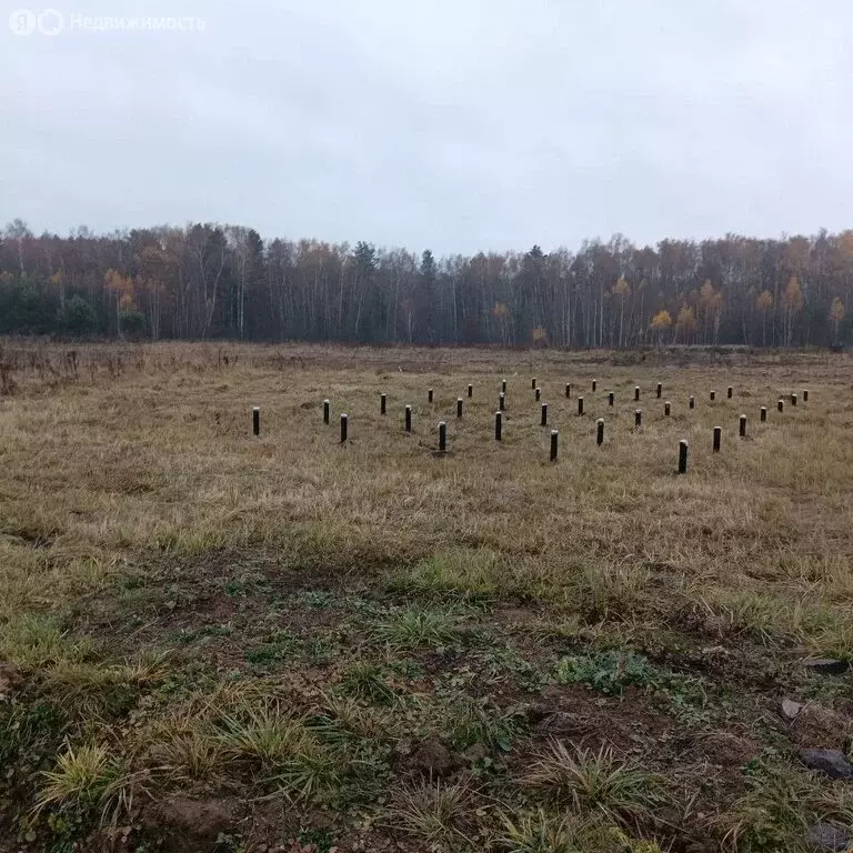 Участок в Московская область, городской округ Серпухов, дачный посёлок ... - Фото 1