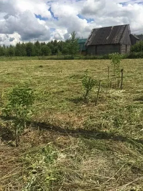 Участок в Московская область, Раменский муниципальный округ, д. ... - Фото 2