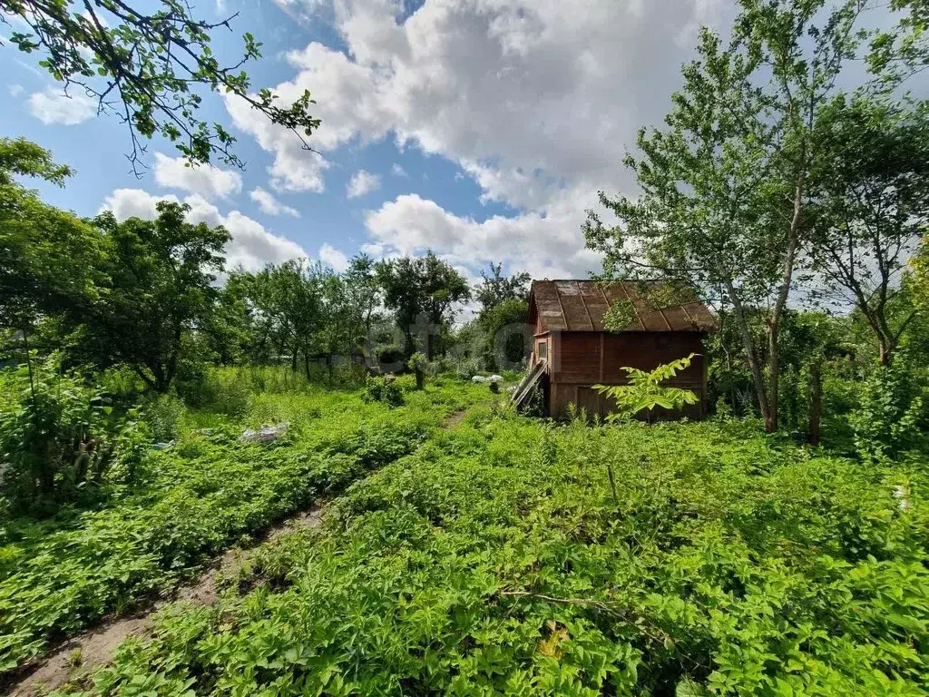 Участок в Брянская область, Брянск Коммунальник садовое общество,  ... - Фото 1