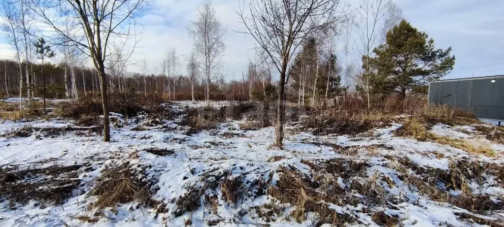 Участок в Тюменская область, Нижнетавдинский муниципальный округ, ... - Фото 2