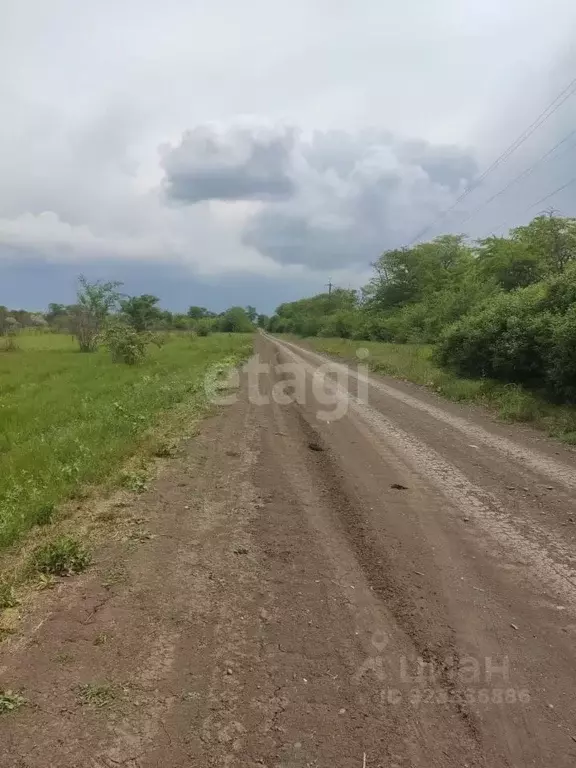 Участок в Ростовская область, Азов Азовский район,  (5.97 сот.) - Фото 1