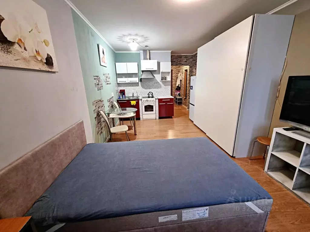 Студия Санкт-Петербург пос. Шушары, Первомайская ул., 5к2 (24.0 м) - Фото 1