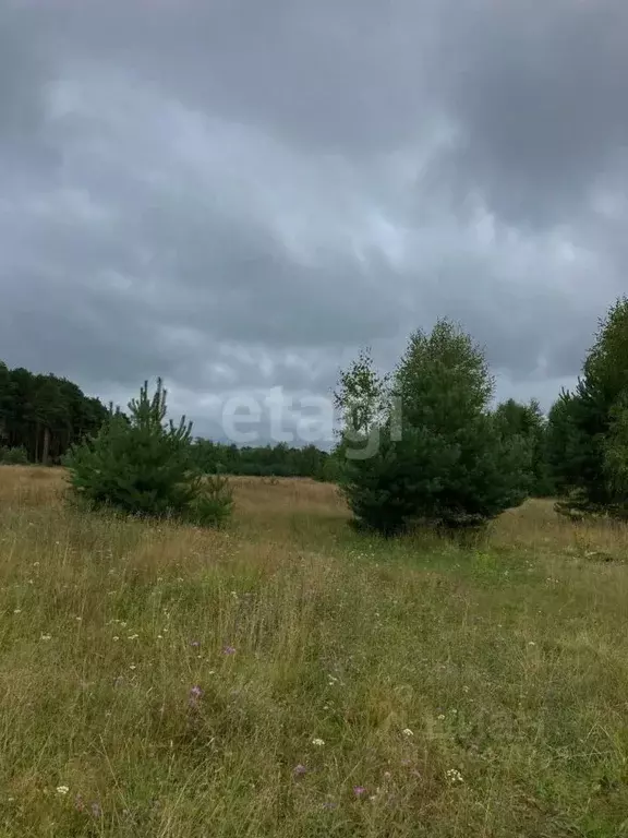 Участок в Кемеровская область, Кемеровский муниципальный округ, с. ... - Фото 1