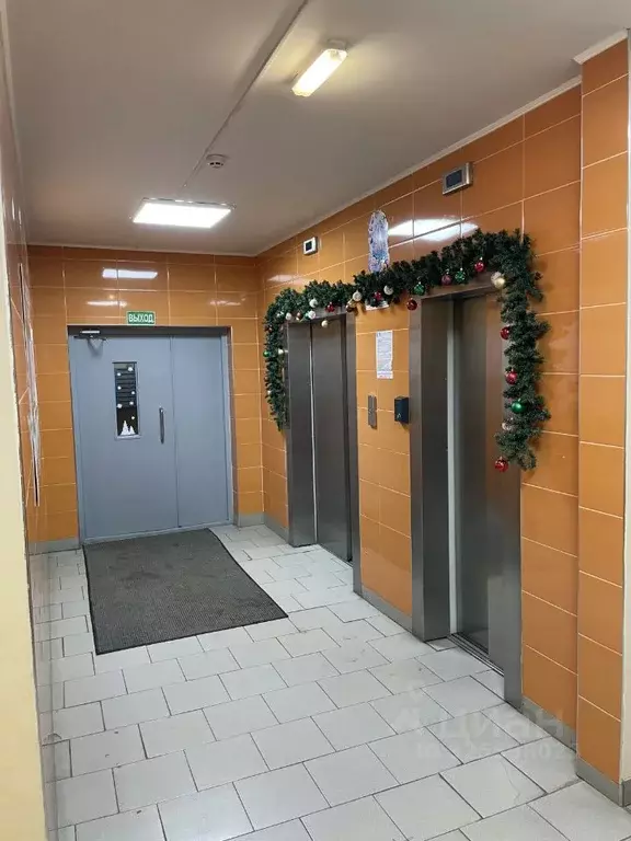 1-к кв. Московская область, Люберцы городской округ, Октябрьский пгт ... - Фото 2