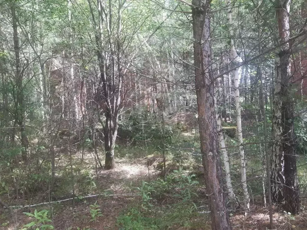 Участок в Свердловская область, Сысертский муниципальный округ, д. ... - Фото 2