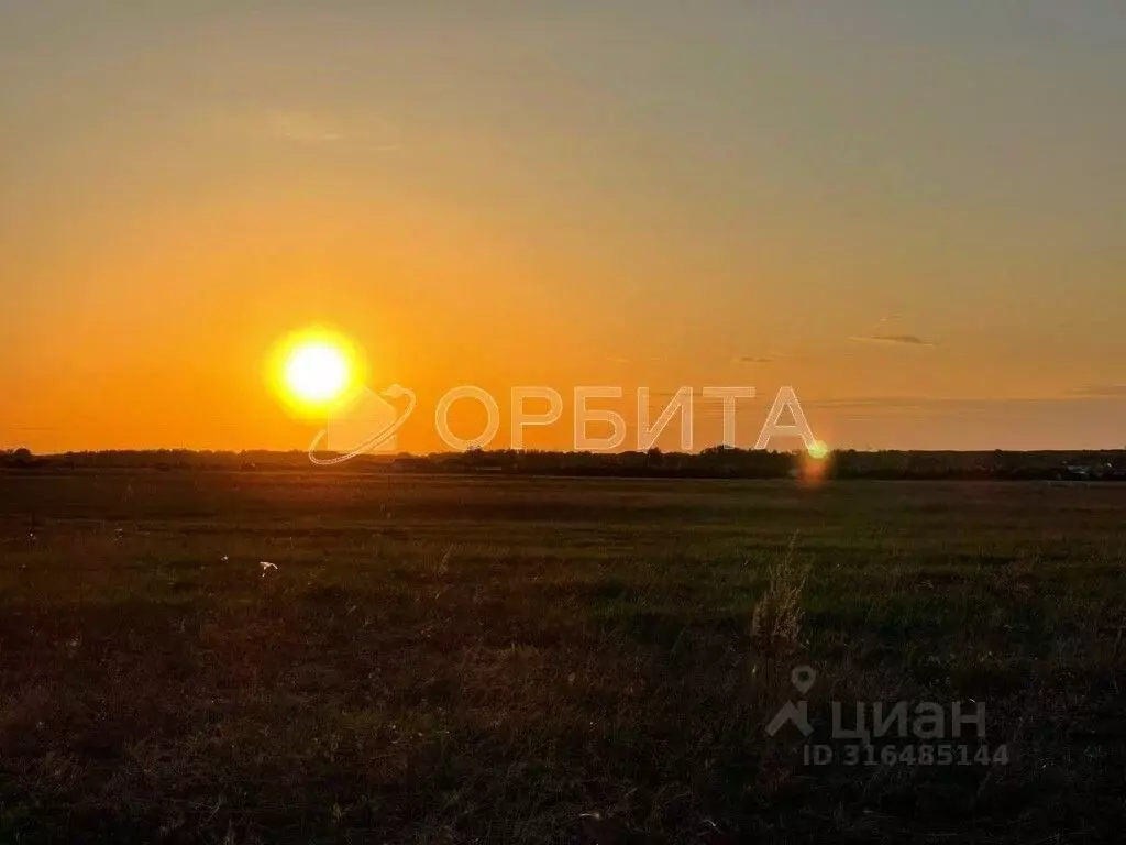 Участок в Тюменская область, Тюменский район, Новокаменский кп ул. ... - Фото 1