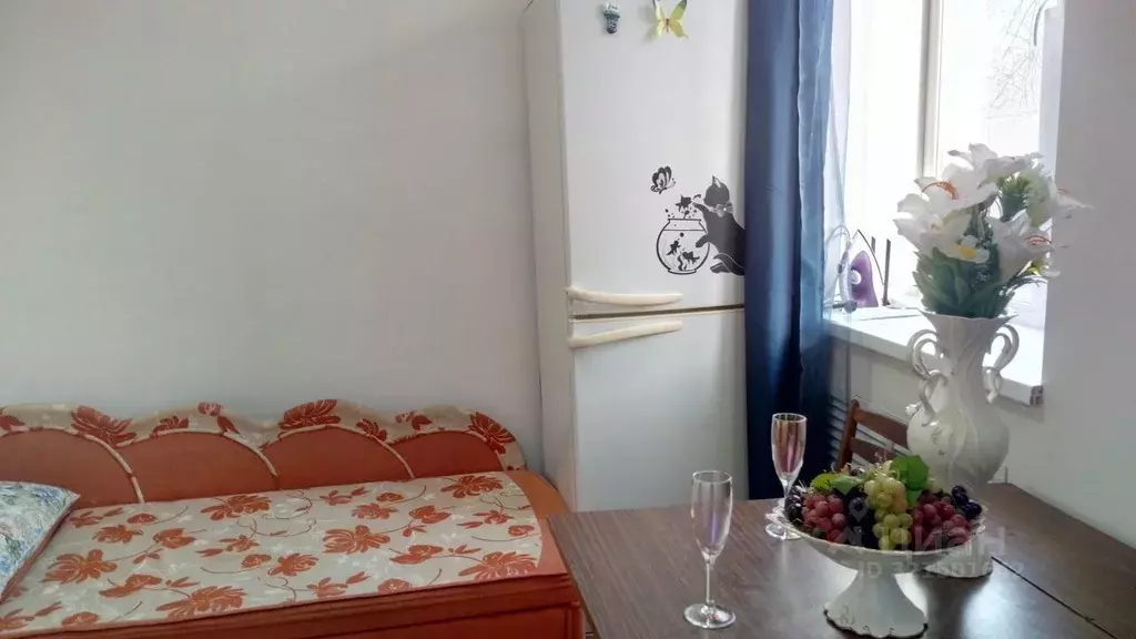 Студия Московская область, Электроугли Богородский городской округ, ... - Фото 1