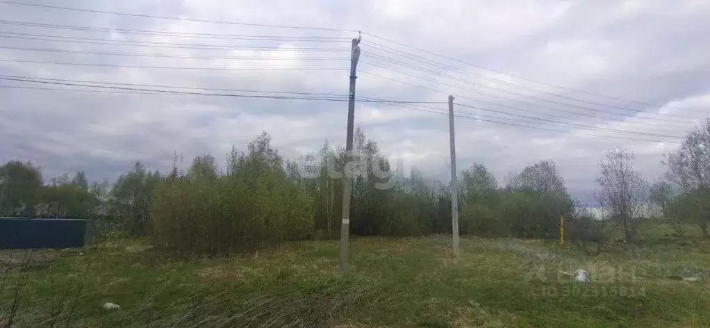 Участок в Смоленская область, Смоленск Автобусник СНТ,  (15.0 сот.) - Фото 1