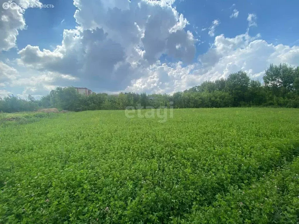 Участок в Старооскольский городской округ, село Курское, Школьная ... - Фото 1