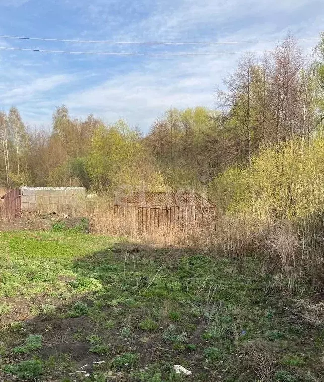 Участок в Челябинская область, Озерский городской округ, д. Новая Теча ... - Фото 0