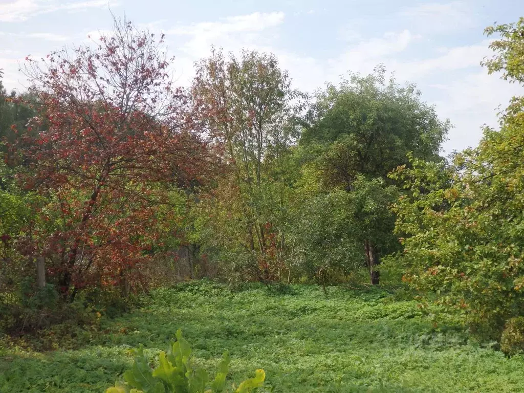 Дом в Псковская область, Печорский муниципальный округ, д. Туравины  ... - Фото 2