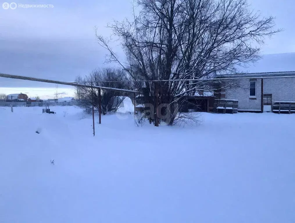 Участок в Медведевский район, Пекшиксолинское сельское поселение, ... - Фото 2