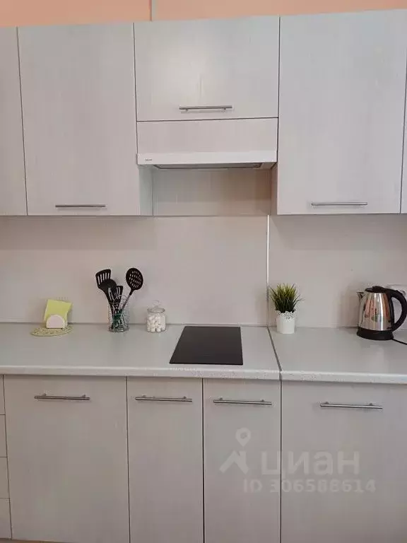 Студия Алтай, Горно-Алтайск Коммунистический просп., 24 (36.0 м) - Фото 1
