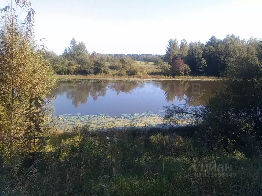 Дом в Новгородская область, Боровичский район, Сушанское с/пос, д. ... - Фото 1