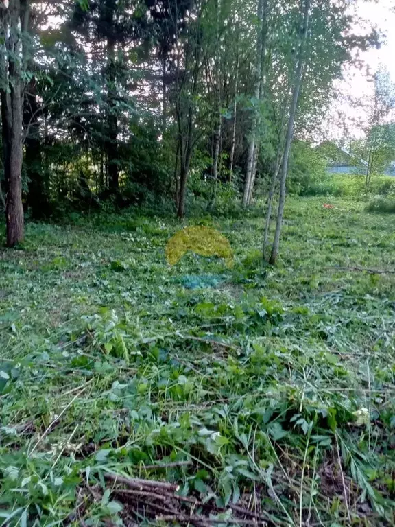 Участок в Тверская область, Конаковский муниципальный округ, д. ... - Фото 1