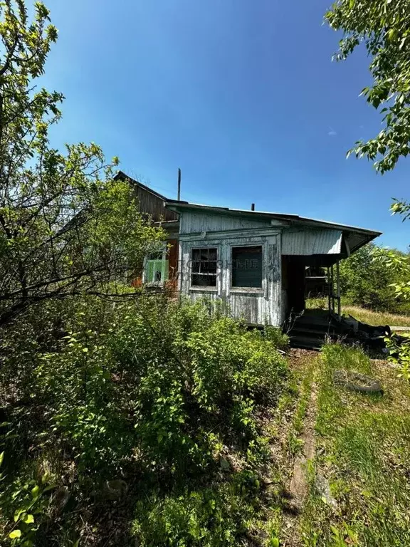 Участок в Амурская область, Благовещенск городской округ, с. Садовое ... - Фото 0