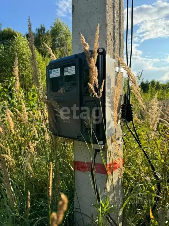 Участок в Калужская область, Боровский муниципальный округ, Совьяки ... - Фото 1