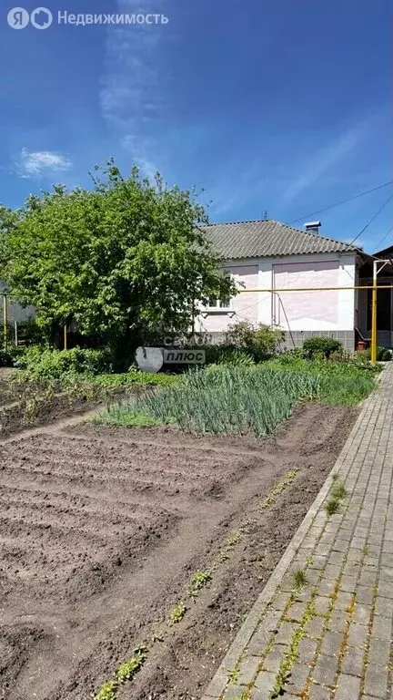 Дом в Воронежская область, рабочий посёлок Хохольский, улица Комарова, ... - Фото 2