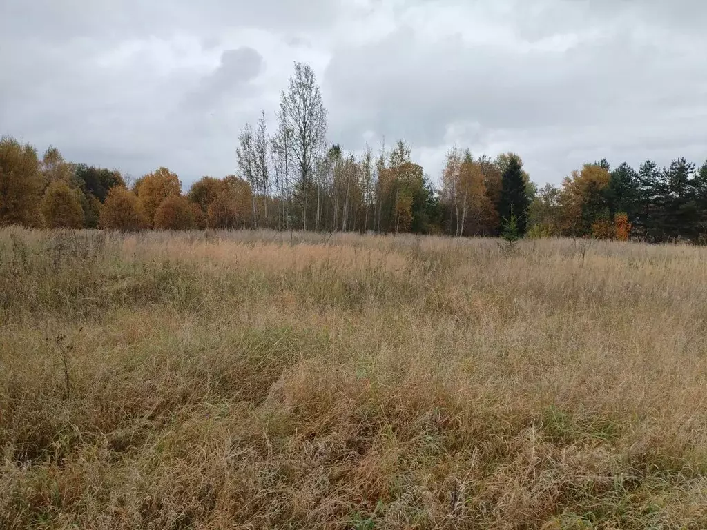 Участок в Московская область, Можайский муниципальный округ, д. ... - Фото 1