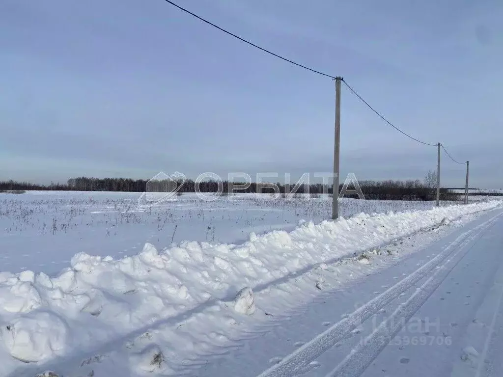 Участок в Тюменская область, Тюменский район, д. Марай ул. Сибирская ... - Фото 1