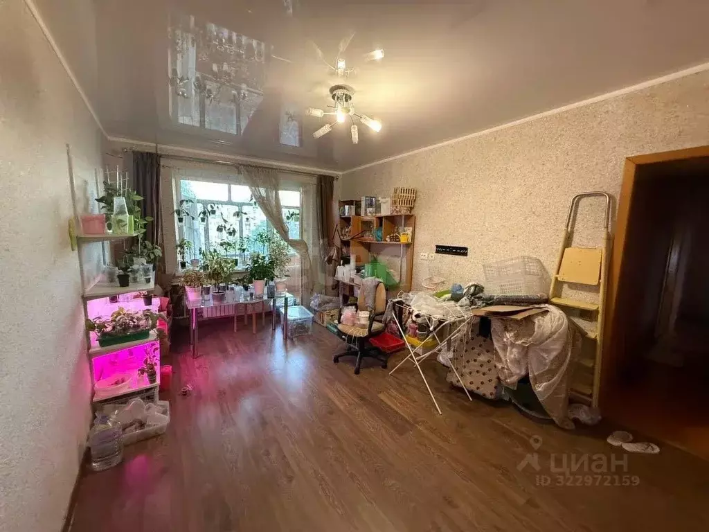 2-к кв. Краснодарский край, Новороссийск ул. Куникова, 38 (54.9 м) - Фото 1