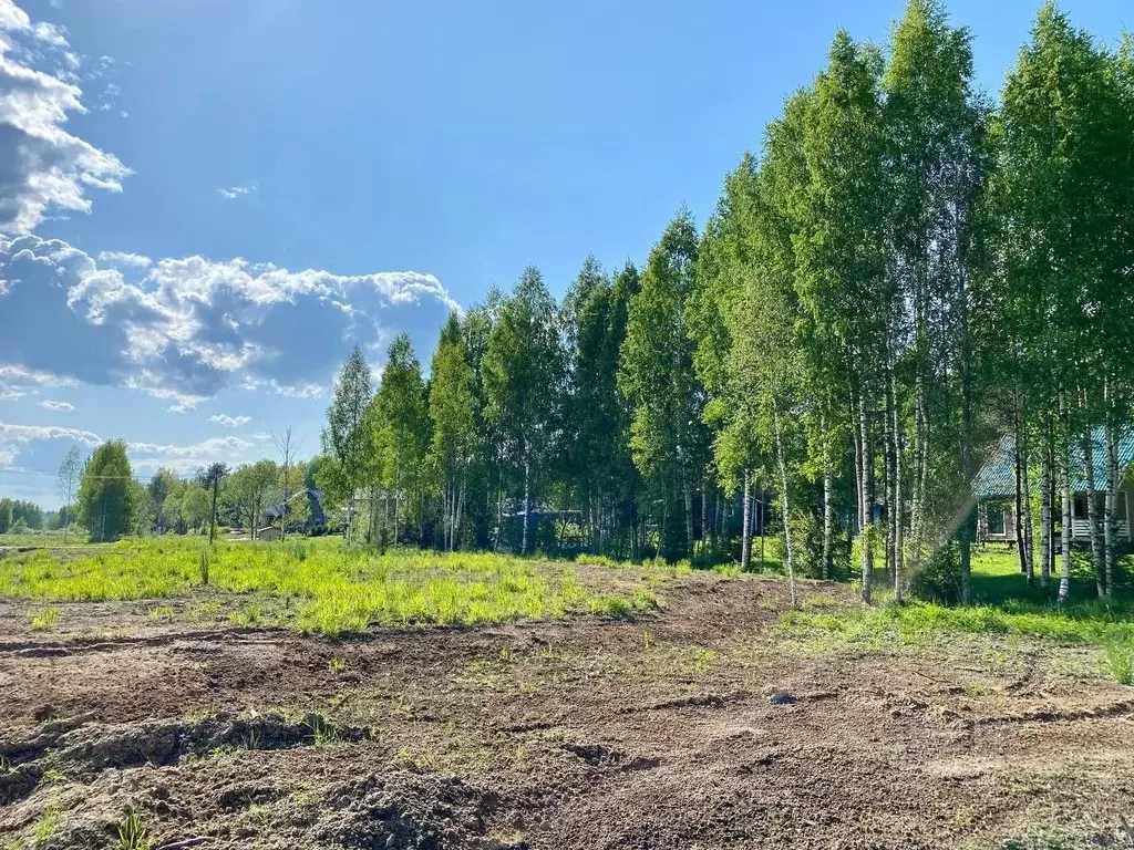 Участок в Ленинградская область, Приозерский район, Раздольевское ... - Фото 0