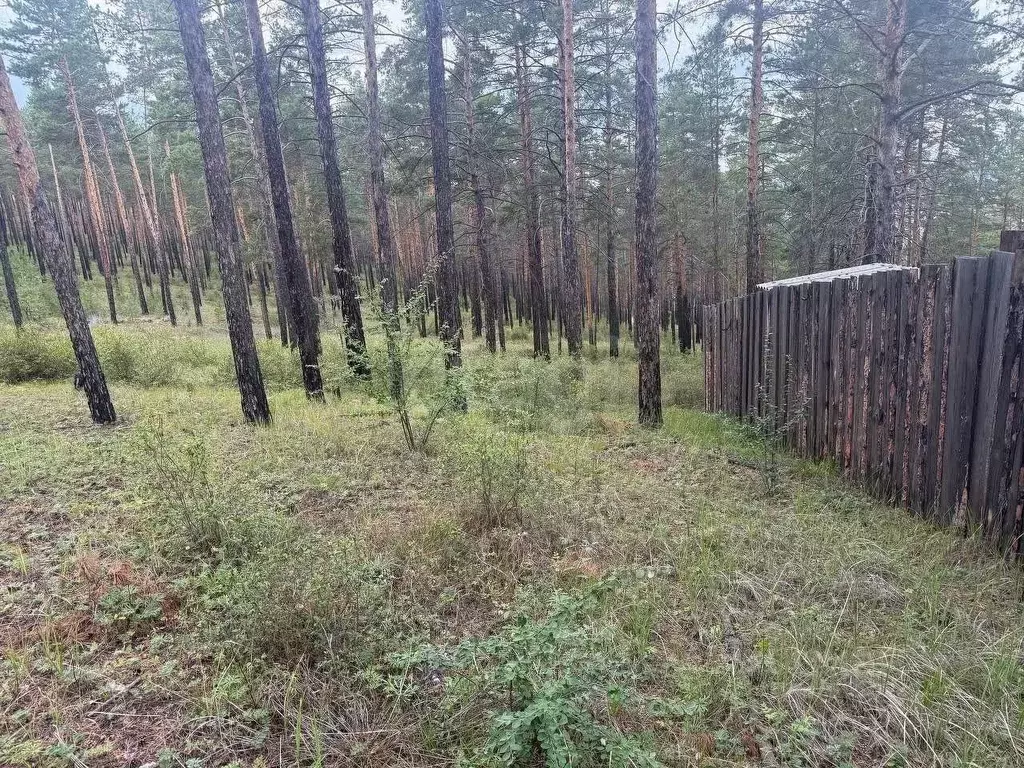 Участок в Бурятия, Улан-Удэ пос. Комушка,  (10.0 сот.) - Фото 2