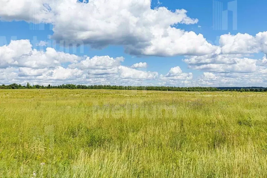 Участок в Московская область, Красногорск городской округ, д. ... - Фото 1