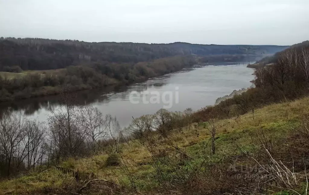 Участок в Калужская область, Перемышльский район, Ахлебинино с/пос, с. ... - Фото 0