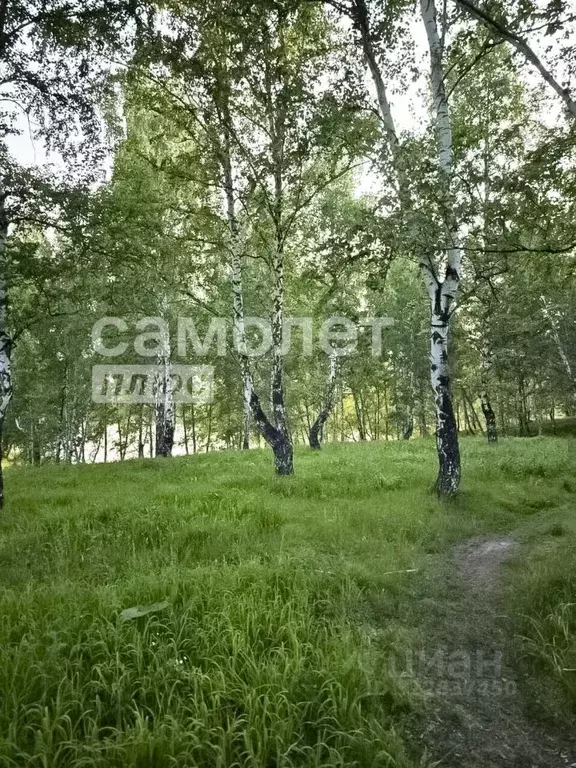 Участок в Кемеровская область, Кемерово ул. Донецкая, 19А (14.0 сот.) - Фото 2