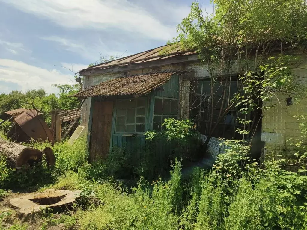 Дом в Краснодарский край, Лабинский район, Каладжинская ст-ца ул. ... - Фото 0