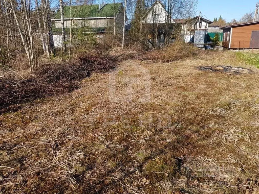 Участок в Ленинградская область, Всеволожский район, Агалатовское ... - Фото 0