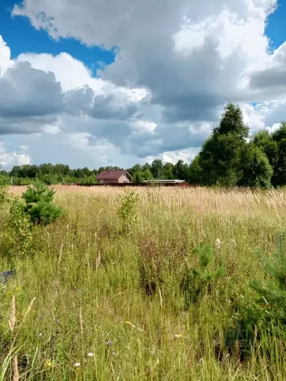 Участок в Московская область, Серпухов городской округ, д. Верхние ... - Фото 0